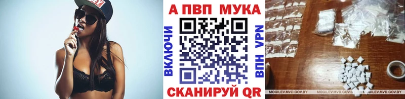 APVP СК  магазин продажи   MEGA зеркало  Козьмодемьянск 