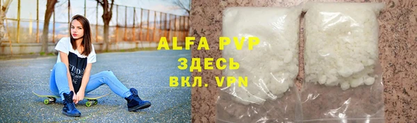 индика Осташков