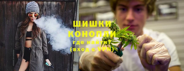 индика Осташков