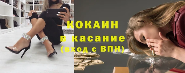 трава Осинники
