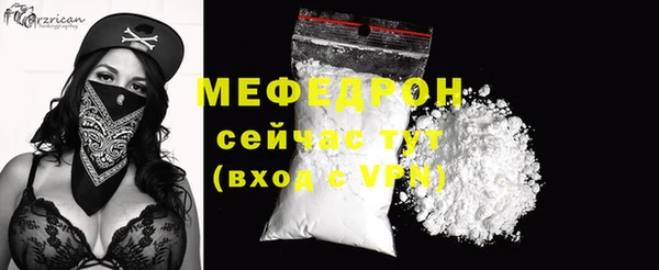 индика Осташков