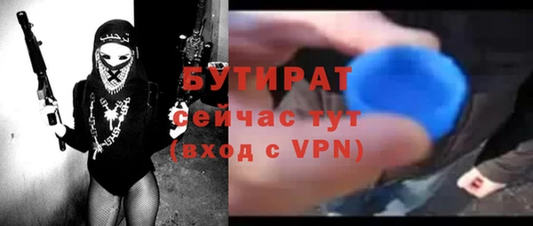 индика Осташков
