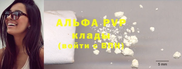 трава Осинники