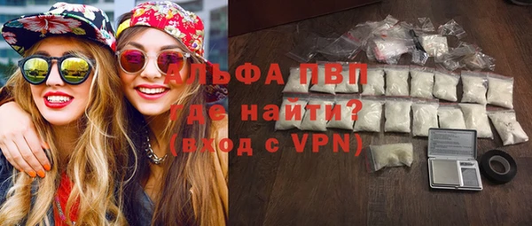 индика Осташков