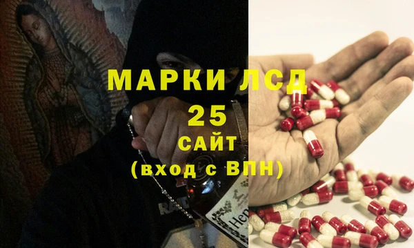 трава Осинники