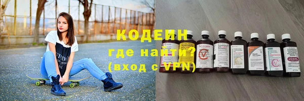 индика Осташков
