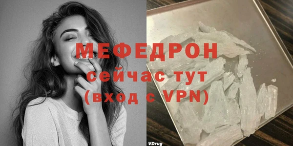 индика Осташков