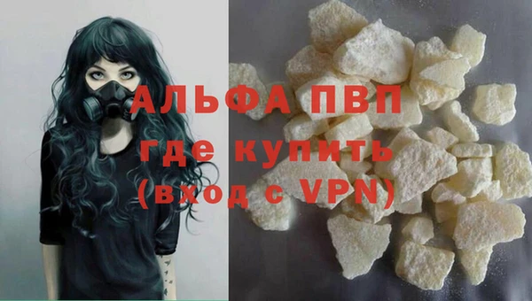 индика Осташков