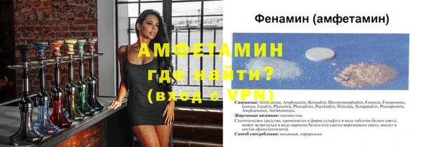 индика Осташков