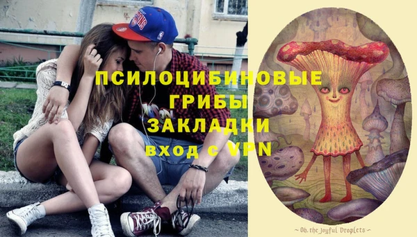 дживик Остров